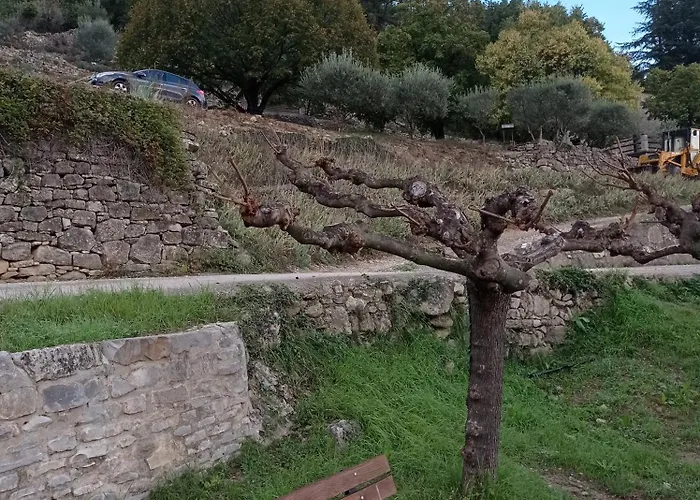 Moliere Molieres-Cavaillac